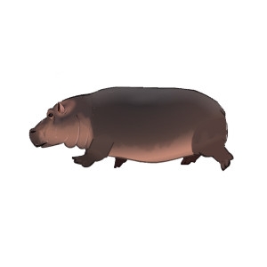 Realistic Hippo Feeder